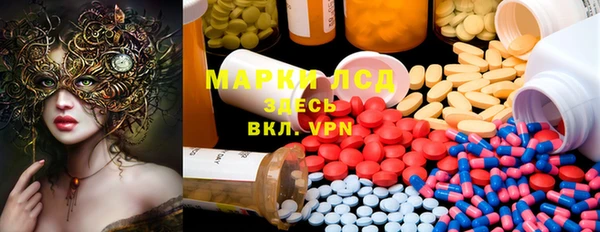 крисы Алзамай